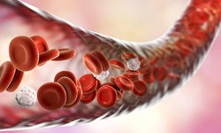 ACE inhibitors