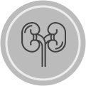Kidney Disease Icon