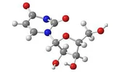 Calcium-Channel-Blockers