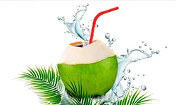 Including-Coconut-Water-in-Our-Diet_compressed