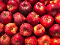 Apples