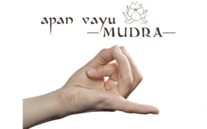 Apan Vayu Mudra blog