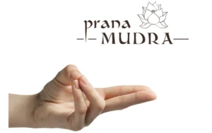 Prana Mudra blog