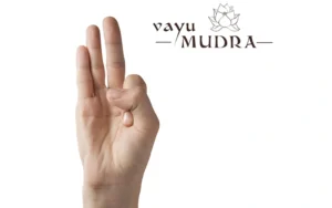 Vayu Mudra blog